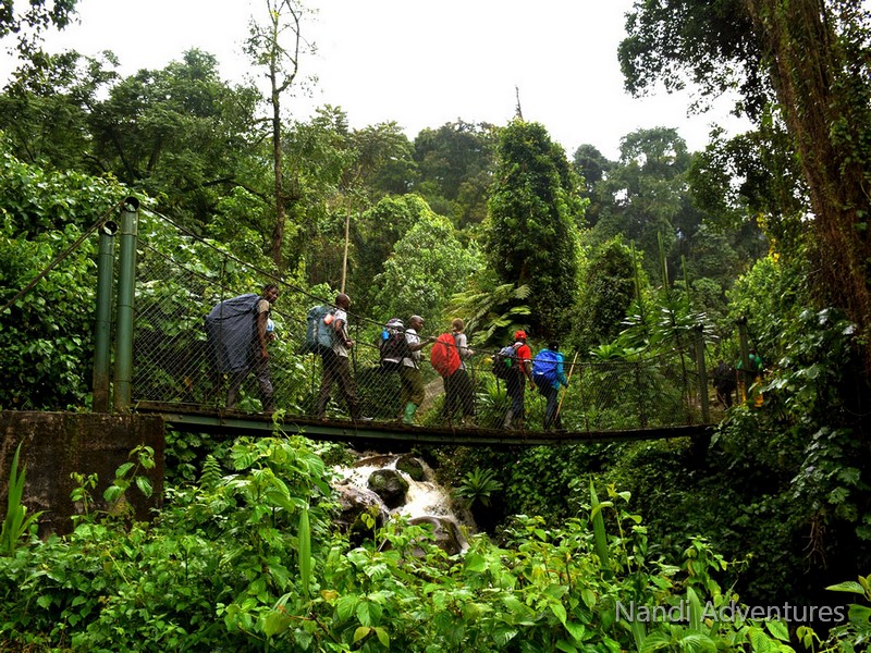 Discover Uganda on a 12-Day Journey from Tropical Glaciers to Chimps & Coffee - Image - 3666